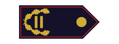 Abschnittsbrandinspektor (ABrI) / Abschnittsbrandinspektorin (ABrI)