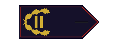 Abschnittsbrandinspektor (ABrI) / Abschnittsbrandinspektorin (ABrI)