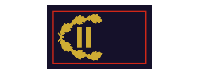 Abschnittsbrandinspektor (ABrI) / Abschnittsbrandinspektorin (ABrI)