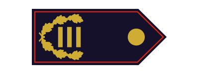 Erster Abschnittsbrandinspektor (ABrI) / Erste Abschnittsbrandinspektorin (ABrI)