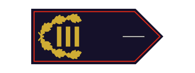 Erster Abschnittsbrandinspektor (ABrI) / Erste Abschnittsbrandinspektorin (ABrI)