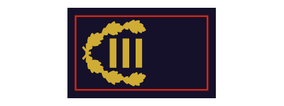 Erster Abschnittsbrandinspektor (ABrI) / Erste Abschnittsbrandinspektorin (ABrI)