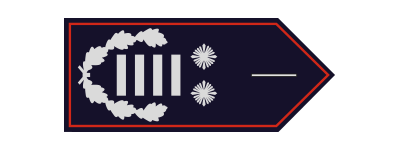 Gemeindebrandinspektor (GemBrI) / Gemeindebrandinspektorin (GemBrI)