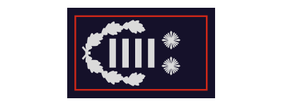 Gemeindebrandinspektor (GemBrI) / Gemeindebrandinspektorin (GemBrI)