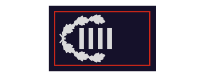 Hauptbrandinspektor (HBrI) / Hauptbrandinspektorin (HBrI)