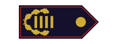 Kreisbrandinspektor (KBrI) / Kreisbrandinspektorin (KBrI)