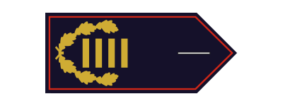 Kreisbrandinspektor (KBrI) / Kreisbrandinspektorin (KBrI)