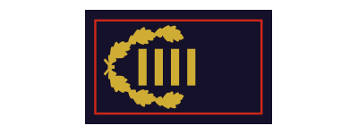Kreisbrandinspektor (KBrI) / Kreisbrandinspektorin (KBrI)