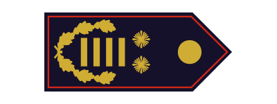 Regierungsbrandinspektor (RegBrI) / Regierungsbrandinspektorin (RegBrI)