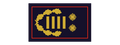 Regierungsbrandinspektor (RegBrI) / Regierungsbrandinspektorin (RegBrI)